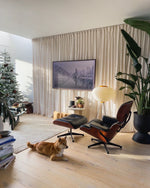 Eames Lounge Chair and Ottoman