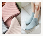 Women's Socks丨5 Pairs Mixed Color Cotton Socks