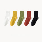 Women's Socks丨5 Pairs Mixed Color Cotton Socks