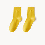 Men's Socks丨Spring 10 Pairs Sweat Absorption Cotton Socks