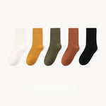 Women's Socks丨5 Pairs Mixed Color Cotton Socks